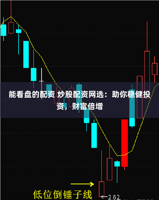能看盘的配资 炒股配资网选：助你稳健投资，财富倍增