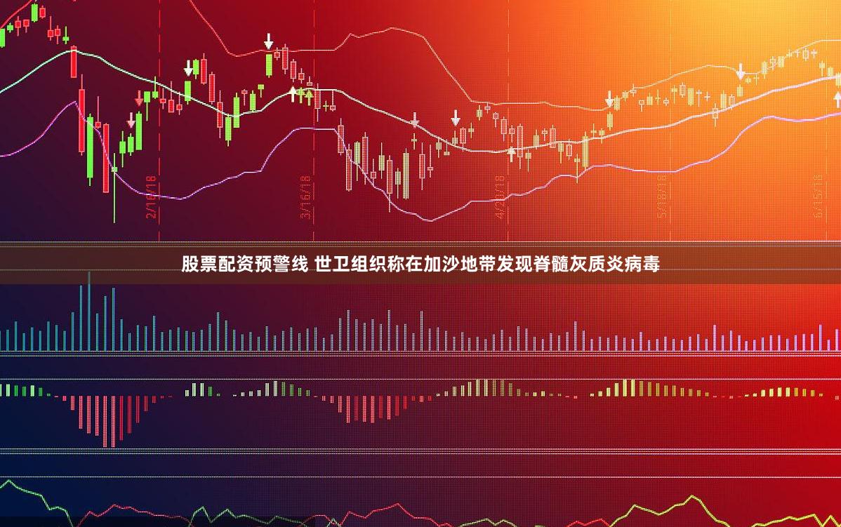 股票配资预警线 世卫组织称在加沙地带发现脊髓灰质炎病毒