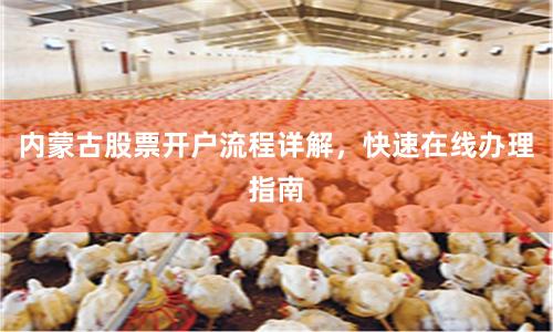 内蒙古股票开户流程详解，快速在线办理指南